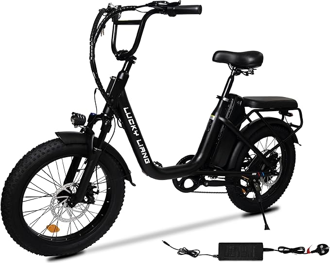 Lucky Liang U03 Electric Bike