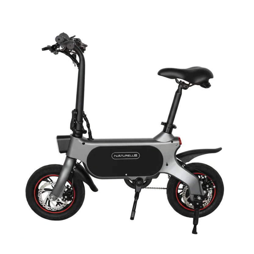 Mini Electric Hybrid Bike