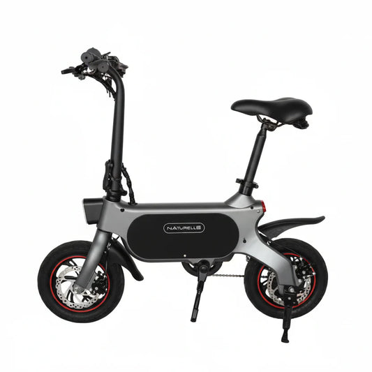 Mini Electric Hybrid Bike