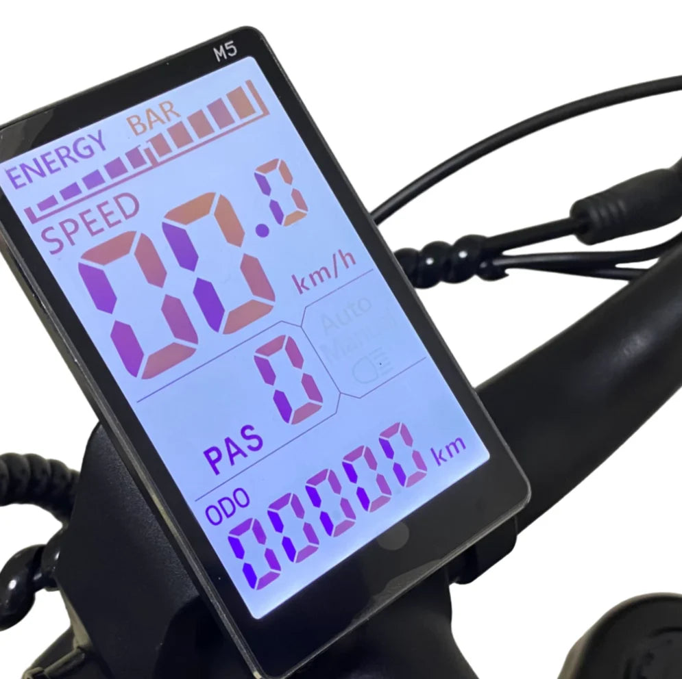 Kugoo Kirin V5  Electric Bike