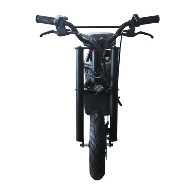 B1 Fiido Style Electric Scooter