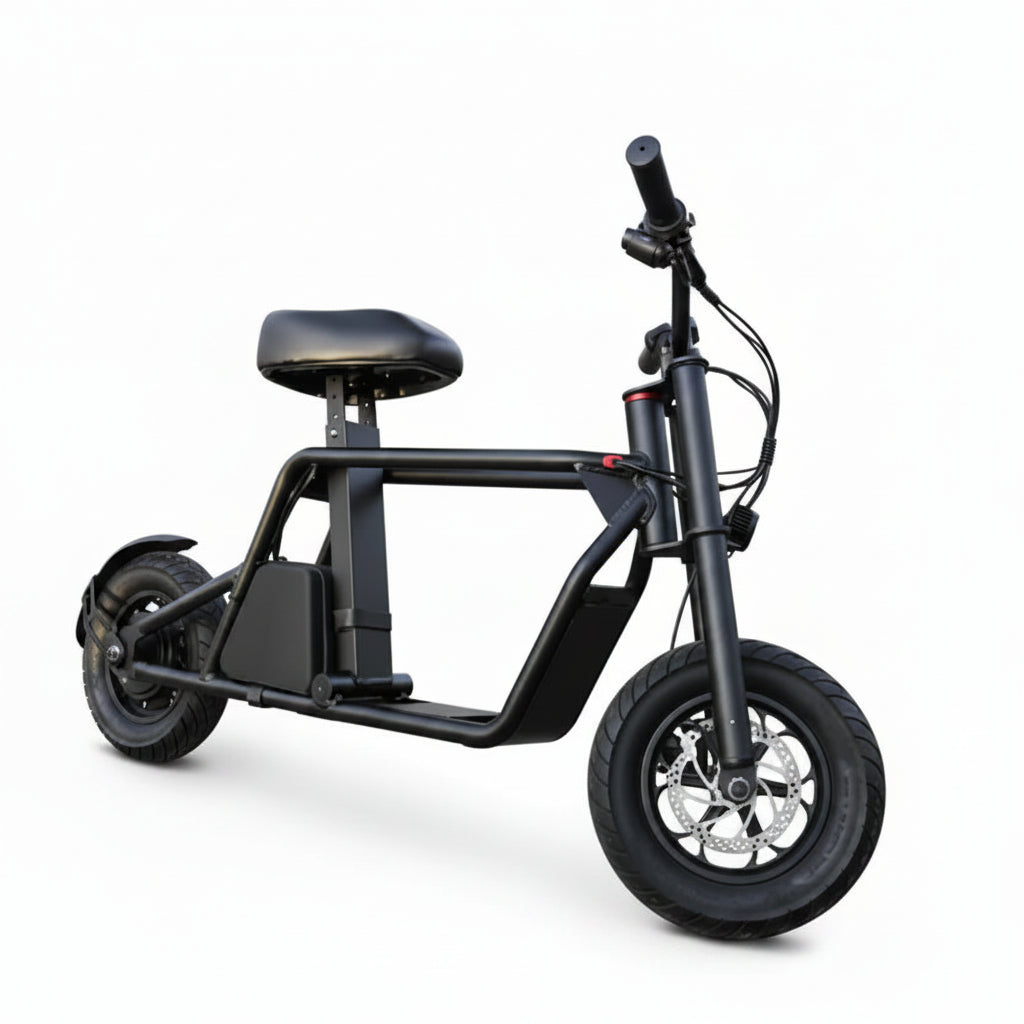 B1 Fiido Style Electric Scooter