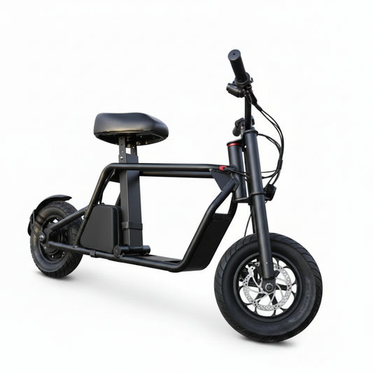 B1 Fiido Style Electric Scooter