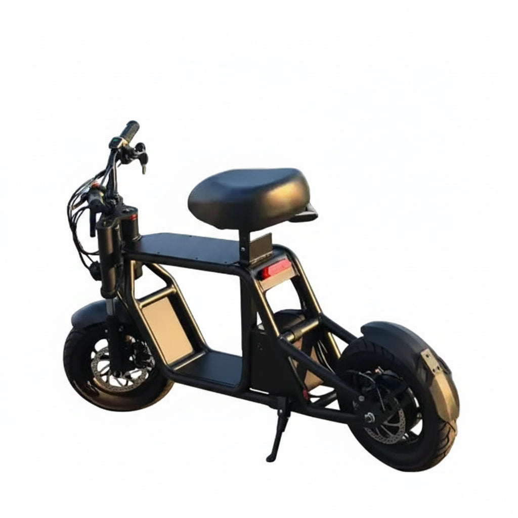 B1 Fiido Style Electric Scooter