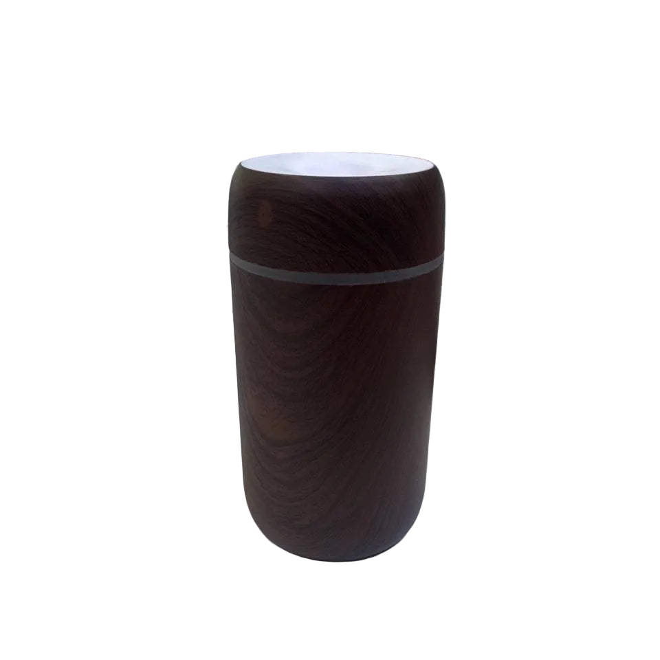 H2O Car Air Humidifier M166