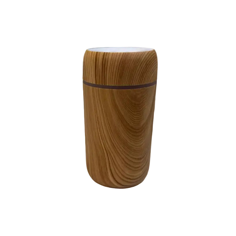H2O Car Air Humidifier M166