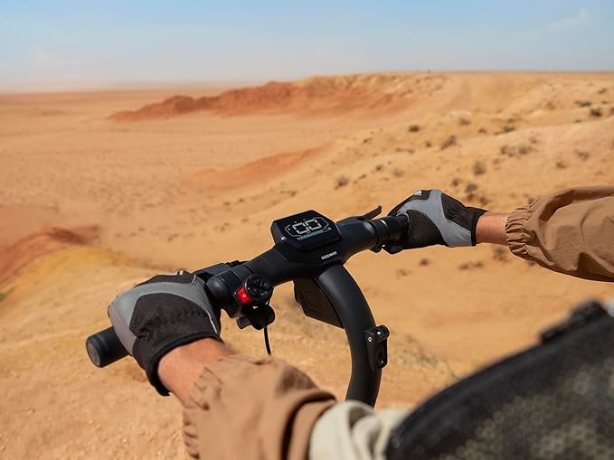 Segway Ninebot ZT3 PRO