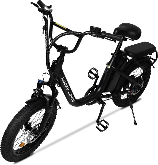 Lucky Liang U03 Electric Bike