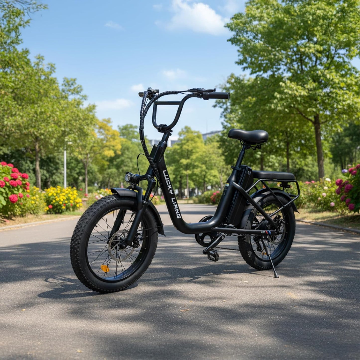 Lucky Liang U03 Electric Bike