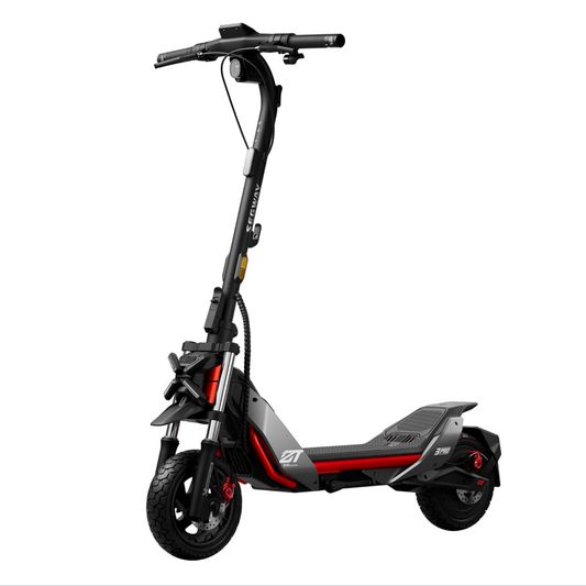 Segway Ninebot ZT3 PRO