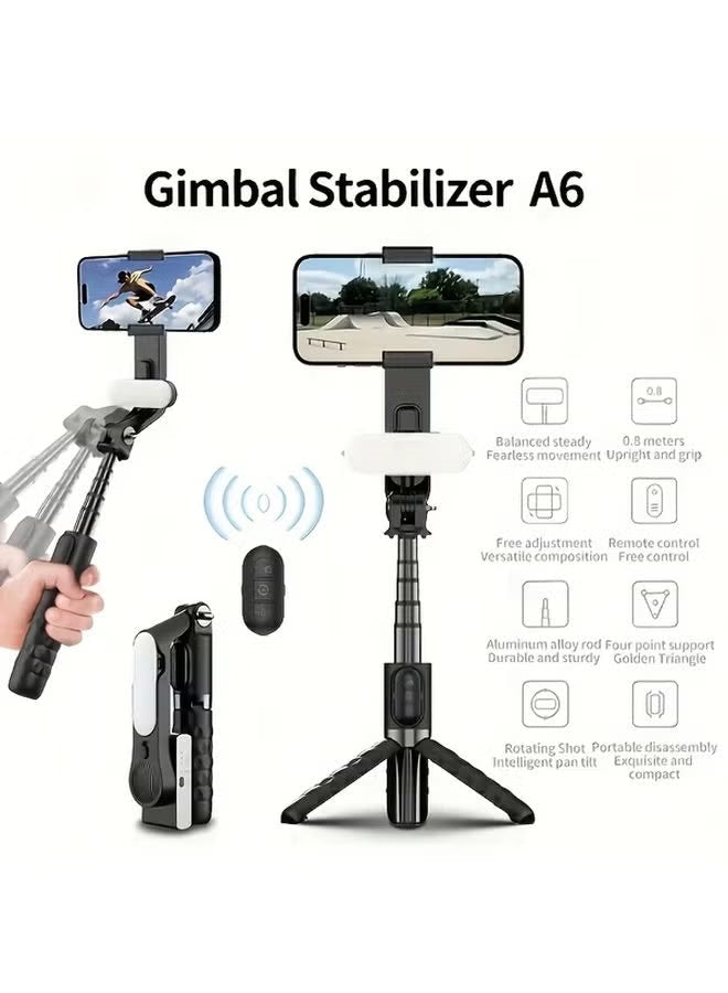 A6 Selfie Stick + Light